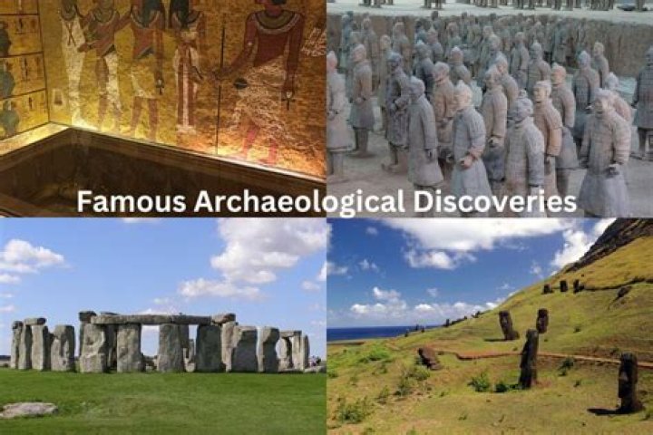 Discoveries And Insights From Stephanie Windham's Journey